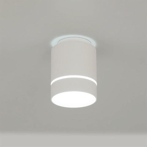 Накладной светильник Citilux CL745010N