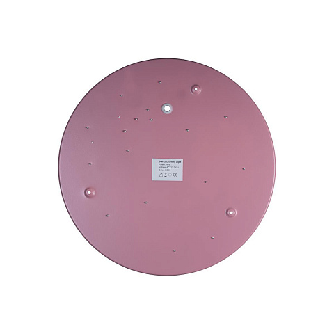 Потолочный детский светильник LOFT IT 10003/24 Pink