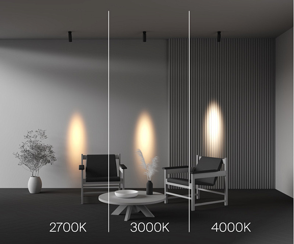 Спот Maytoni C055CL-L12W4K-SS-B