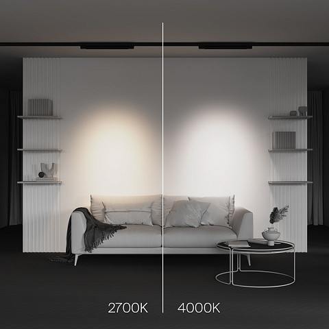 Светильник на шине Maytoni TR195-3-20W2.7K-M-B