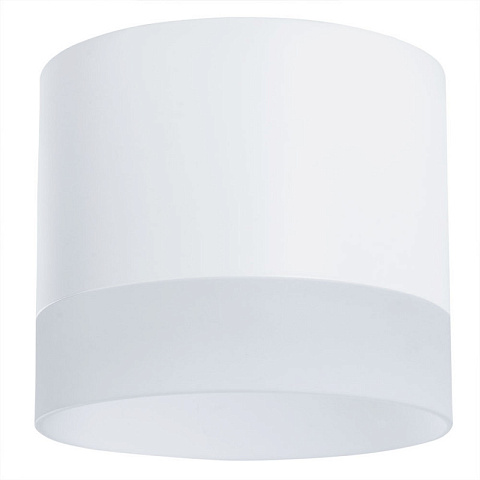 Накладной светильник ARTE Lamp A5554PL-1WH