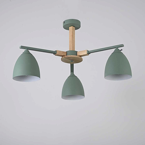 Потолочная люстра Imperium Loft Noa 3 Mint 183466-26