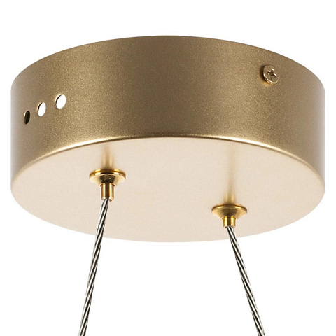 Подвесная люстра Lightstar 731313