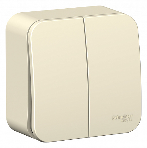 Systeme Electric Blanca наруж Молочный Выключатель 2-клавишный, 10А, 250B
