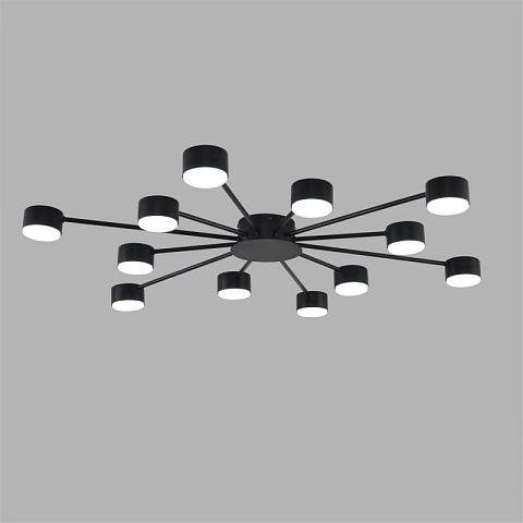 Накладная люстра LUMION 8344/12C