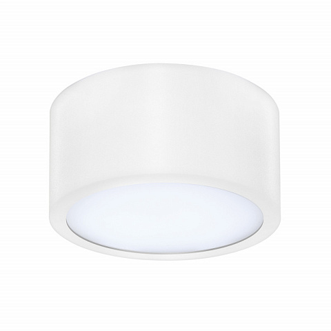 Влагозащищенный светильник Lightstar 213916