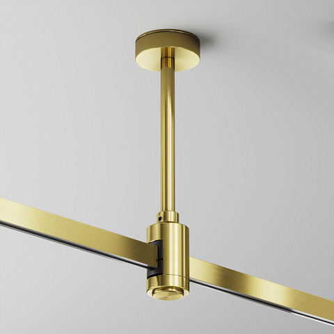 Подвесной комплект Maytoni TRA156C-SL1-BS