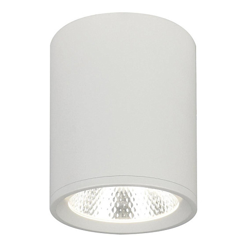 Накладной светильник Escada 20003SMU/02LED SWH