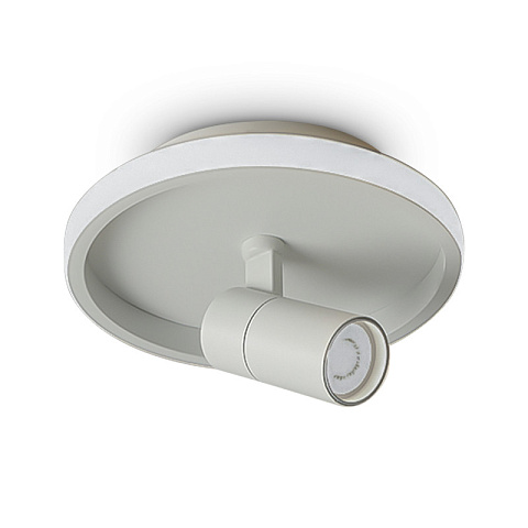 Накладной светильник Freya FR6040CL-L14W