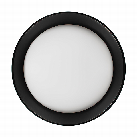 Накладной светильник LOFT IT 10202 BB