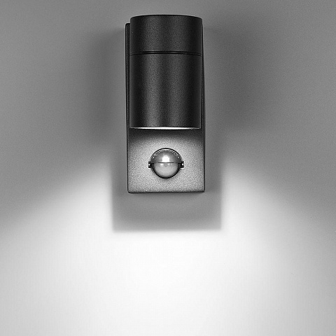 Светильник настенный ARTE Lamp A3322AL-1BK