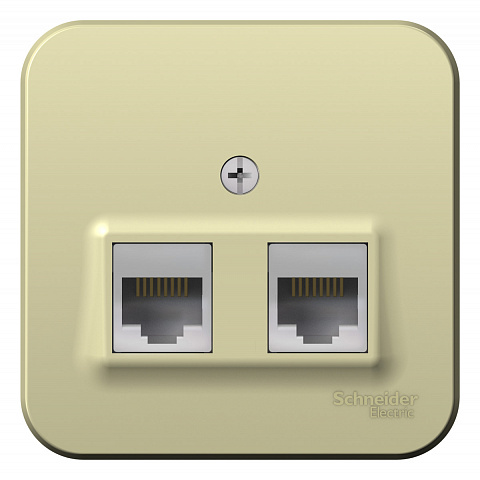 Systeme Electric Blanca наруж Беж Розетка 2-ая компьютерная RJ45, кат.5E, изолир. пластина