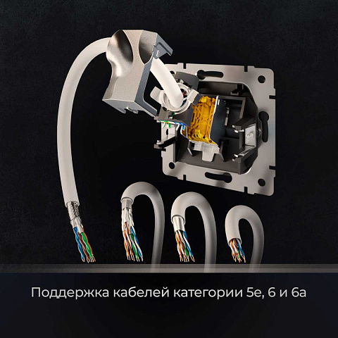 Розетка Ethernet RJ-45 cat. 6A экранированная Werkel черный матовый W5120108 4690389213496