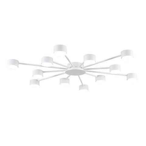 Накладная люстра LUMION 8343/12C