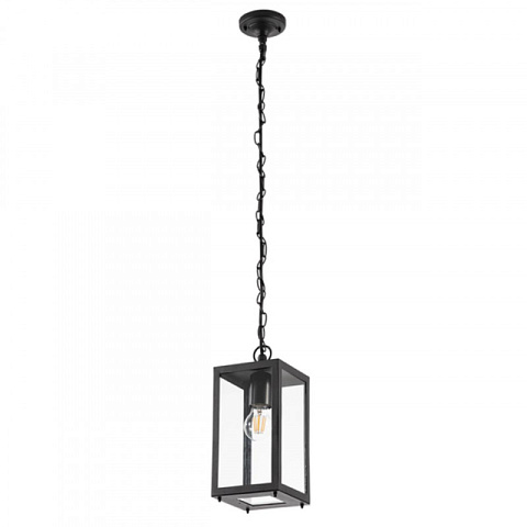 Подвесной уличный светильник ARTE Lamp A4569SO-1BK