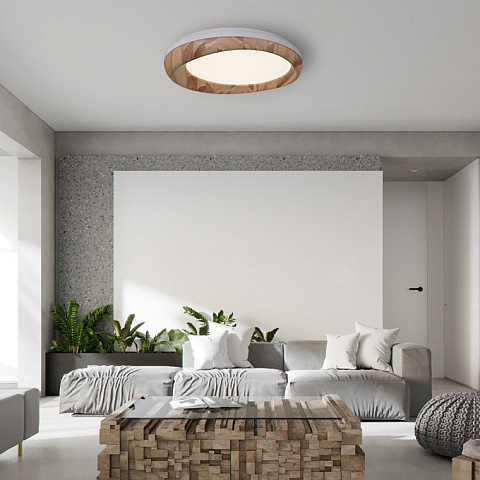 Накладной светильник ImperiumLoft 219475-26