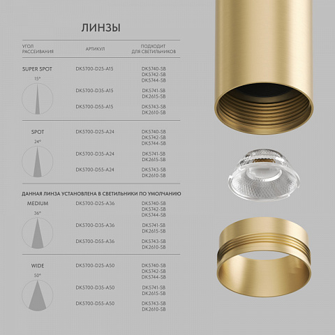 Светильник на шине Denkirs DK5744-SB