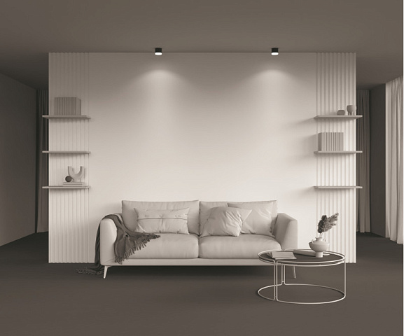 Влагозащищенный светильник Maytoni C087CL-GX53-B