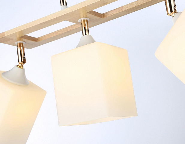 Накладной светильник Ambrella Light TR9505