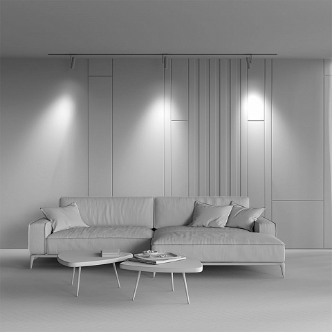 Светильник на шине Maytoni TR005-2-12W4K-BW
