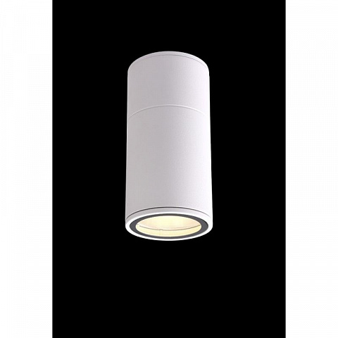 Влагозащищенный светильник Crystal Lux CLT 138C180 WH