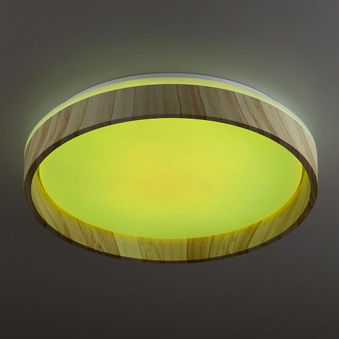 Накладной светильник Citilux CL753352G