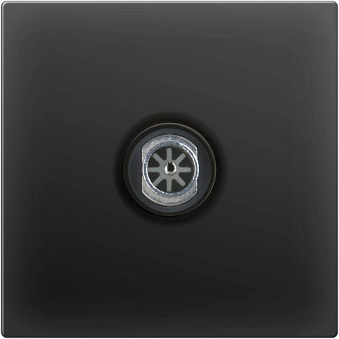 ТВ-розетка проходная Werkel черный матовый WL08-TV-2W 4690389073519