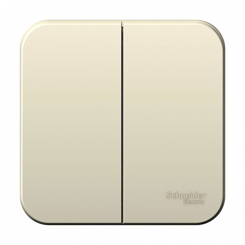 Systeme Electric Blanca наруж Молочный Выключатель 2-клавишный, 10А, 250B