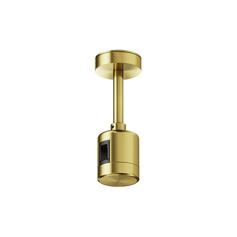 Подвесной комплект Maytoni TRA156C-IPC1-BS