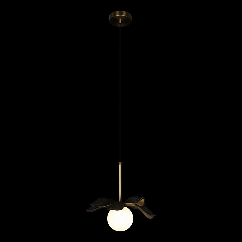 Подвесной светильник LOFT IT 10213/A Black