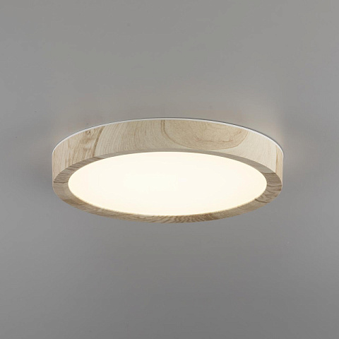 Накладной светильник Citilux CL738122N