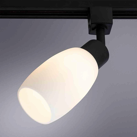 Трековый светильник Arte Lamp Miia A3055PL-1BK