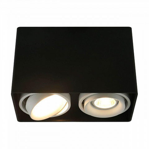 Накладной светильник ARTE Lamp A5655PL-2BK