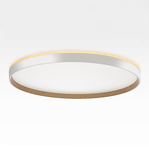 Накладной светильник Citilux CL750500R