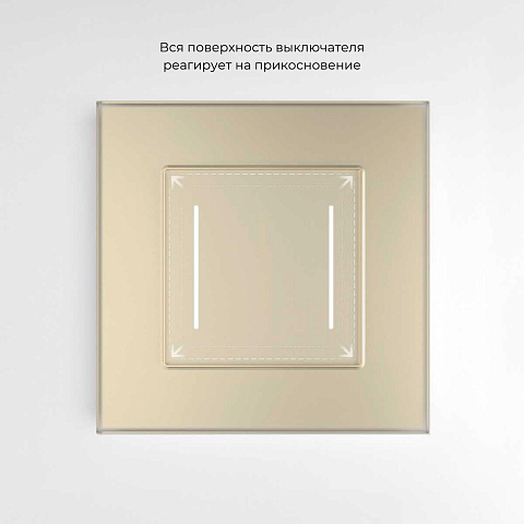 Сенсорный выключатель двухклавишный с подсветкой Werkel шампань W4522011 4690389198069