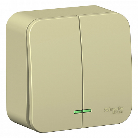 Systeme Electric Blanca наруж Беж Выключатель 2-клавишный (cх.5) с подсветкой, изолир. пластина 10А,250B