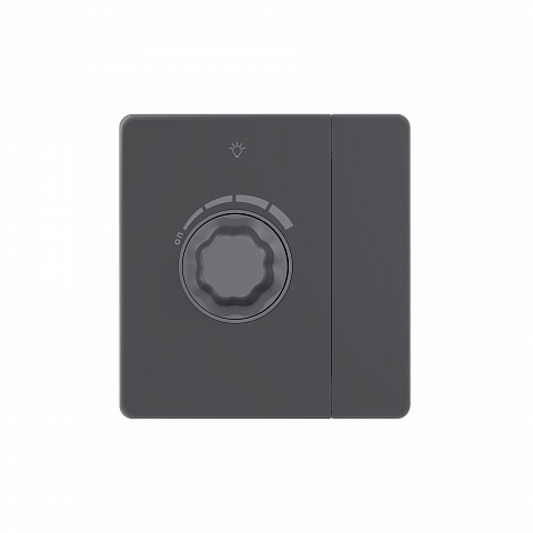 Systeme Electric Systeme Infinity Вулканический пепел Светорегулятор TRIAC c выключателем 300Вт