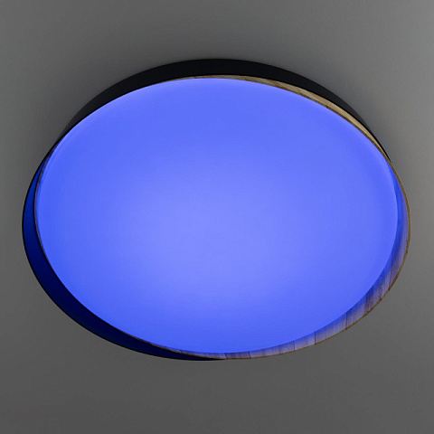 Накладной светильник Citilux CL754451G