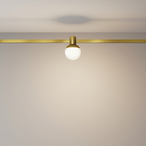 Светильник на шине Maytoni TR149-1-5W3K-BS