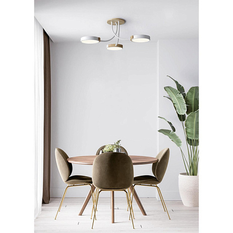 Люстра на штанге LUMION 5654/54CL