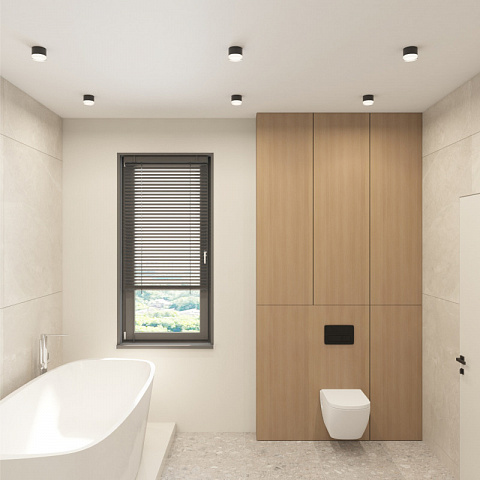 Влагозащищенный светильник Denkirs DK-DH2610-BK