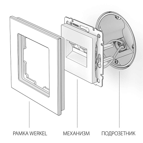 Розетка Werkel двойная Ethernet RJ-45 черный матовый W1182208 4690389157004