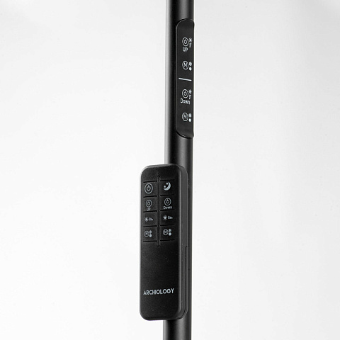 Торшер Lussole LSP-0901-SE
