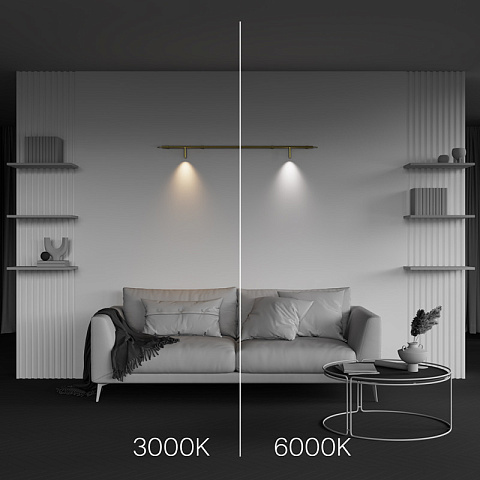 Светильник на шине Maytoni C102CL-3W3-6K-BS