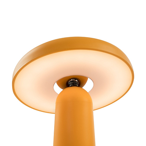 Настольная лампа Freya FR6109TL-L4OR