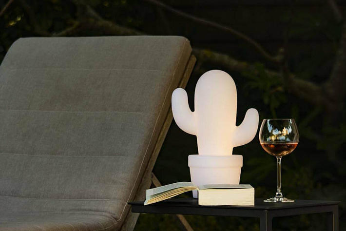 Уличный светодиодный светильник Lucide Cactus 13813/02/31