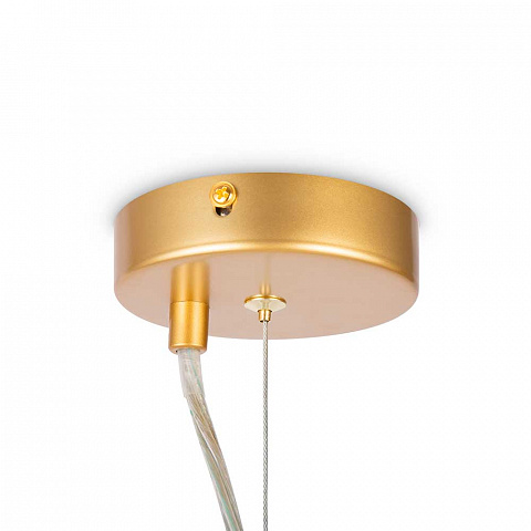Подвесная люстра Maytoni MOD545PL-06G