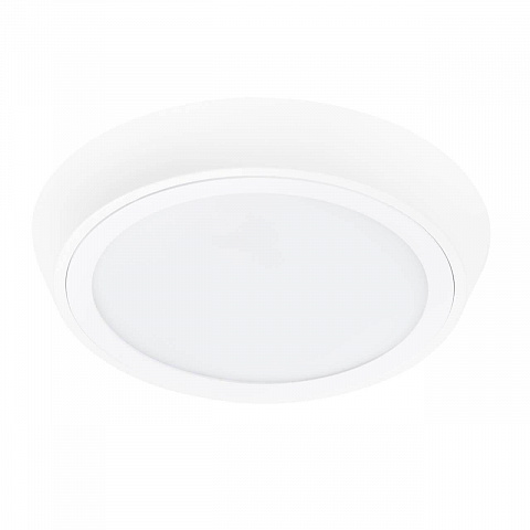 Влагозащищенный светильник Lightstar 216902