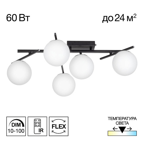 Накладная люстра Citilux CL223152