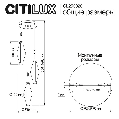 Подвесной светильник Citilux CL253020